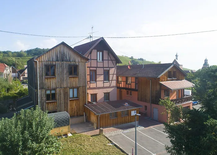 Pinot Gris - Charmant Studio Au Coeur Du Vignoble - Parking Gratuit
