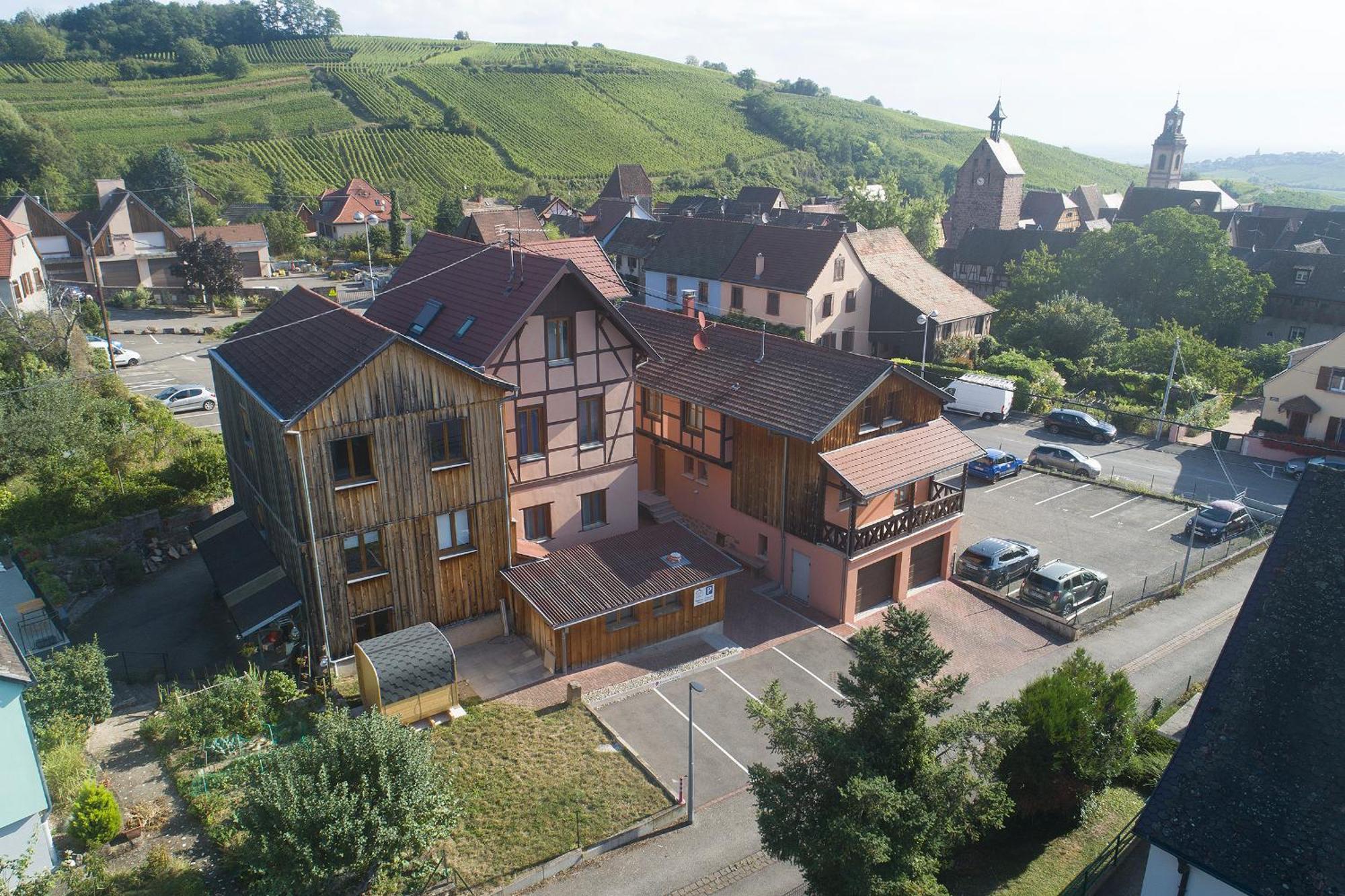 Pinot Gris - Au Coeur Du Vignoble - Parking Gratuit Appartement
