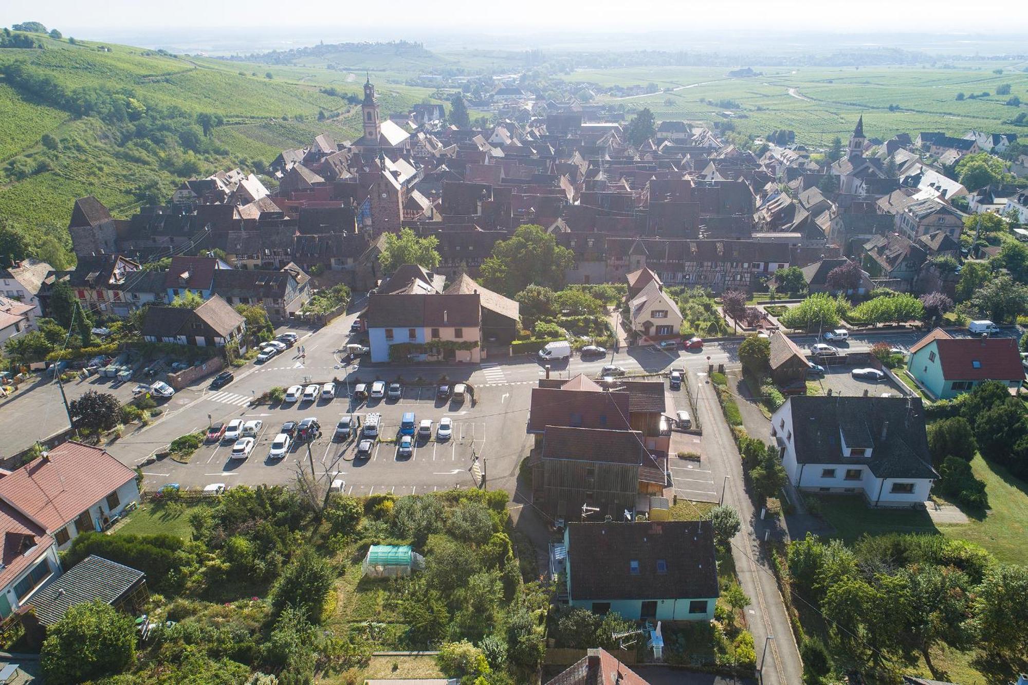 Pinot Gris - Au Coeur Du Vignoble - Parking Gratuit Appartement *